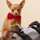 thumbnail image 3 of FELTECHELECTR Cortapelos para perros domésticos, cortadora de mascotas portátil, práctica lima de uñas, recortadora de perros con lima de uñas, 3 of 6