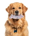 thumbnail image 4 of Juguete de masticar para cachorros en forma de oso, cuerda trenzada de algodón para limpiar los dientes, color variado, 4 of 7