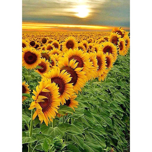 5D bricolaje completo taladro diamante pintura girasol punto de cruz mosaico artesanía Kit Decoración Hugtrwg Para estrenar