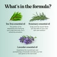 thumbnail image 2 of Purifying Rosemary Shampoo Sulfate Free - Lavender Rosemary and Tea Tree Shampoo for Thinning Hair and Scalp Care - Paraben and Sulfate Free Clarifying Shampoo for Build Up with Essential Oils, 2 of 7