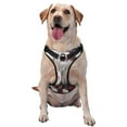 thumbnail image 1 of Cauagu Christmas Snowman With Hat Pattern Reflective Dog Harness, No-Pull Adjustable Dog Vest Pet Walking Vest No-Choke Pet Vest for Small, Medium & Large Dogs -Large, 1 of 6