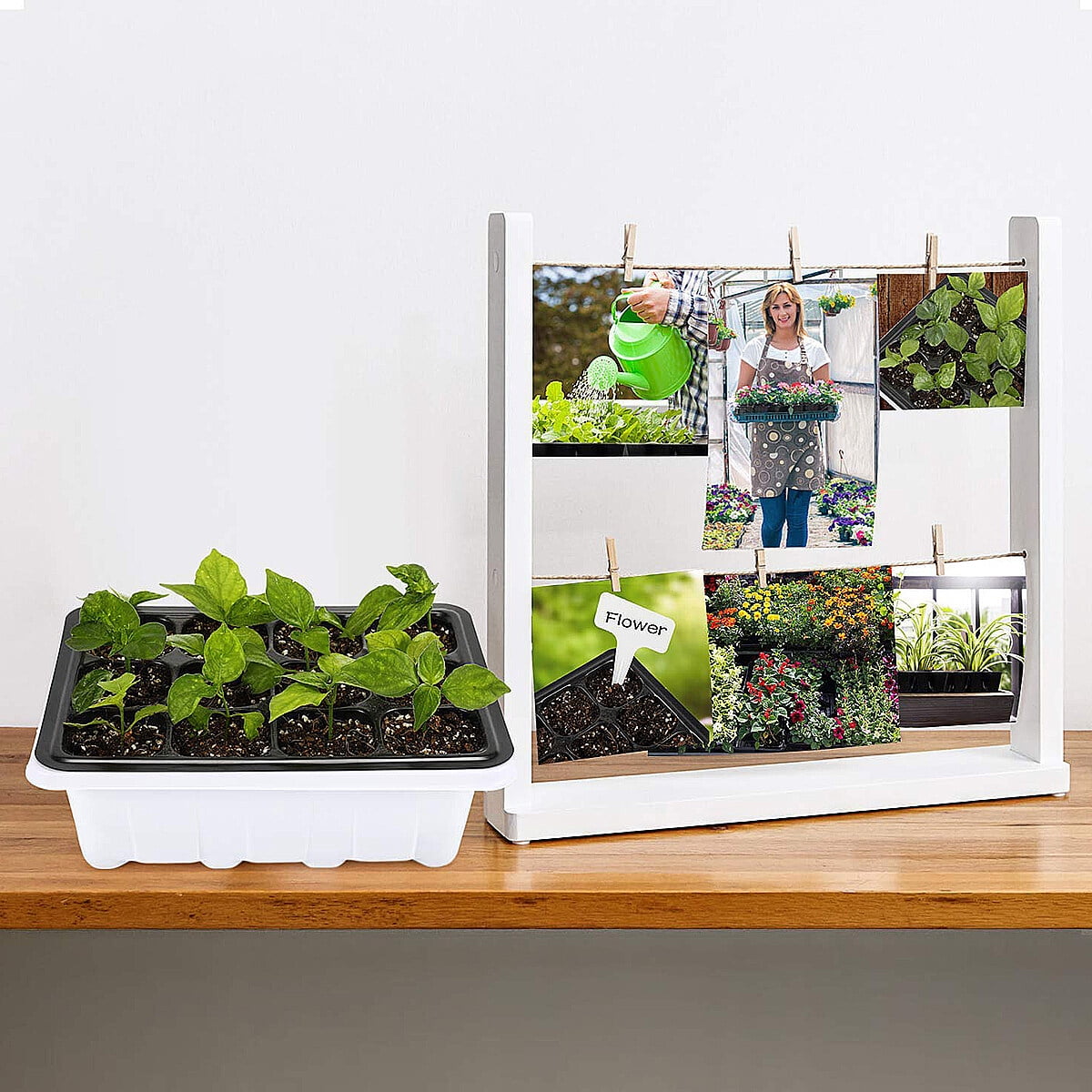 10Pack Seed Starter Tray Germination Kit, Seed Starter Kit with Adjustable Humidity Dome, Plant Growing Kit 7.36" x 5.7" (12-Cell per Tray), Black