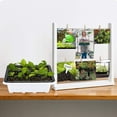 thumbnail image 7 of SHISUYAN 10 Packs Seed Starter Tray Seed Starter Kit with Humidity Dome (120 Cells Total Tray) Seed Starting Trays Plant Starter Kit, 7 of 7