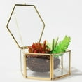 thumbnail image 6 of 2Pcs que Glass Hexagon Geometric Terrarium Fern Air Plant Holder, 6 of 8