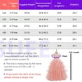 thumbnail image 4 of SUEE Flowers Girls Embroidery Wedding Party Dress Birthday Princess Maxi Gown, 4-10 Year, 4 of 4