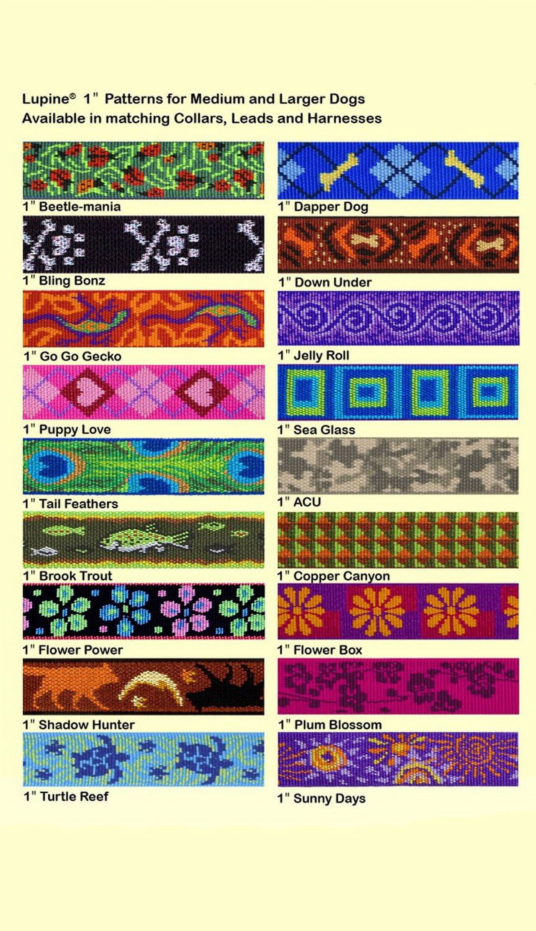 LupinePet Originals 1" Flower Power 15-22" Martingale Collar for Medium and Larger Dogs