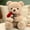 C, variant on KBKYBUYZ Plush Teddy Bear with Rose Stuffed Animals Toys Dolls Valentine's Day Gifts for Girls Girlfriend Lover 9 Inches