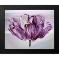 thumbnail image 2 of Art Atelier Alliance 14x12 Black Modern Framed Museum Art Print Titled - Awash In Plum Tulip, 2 of 5