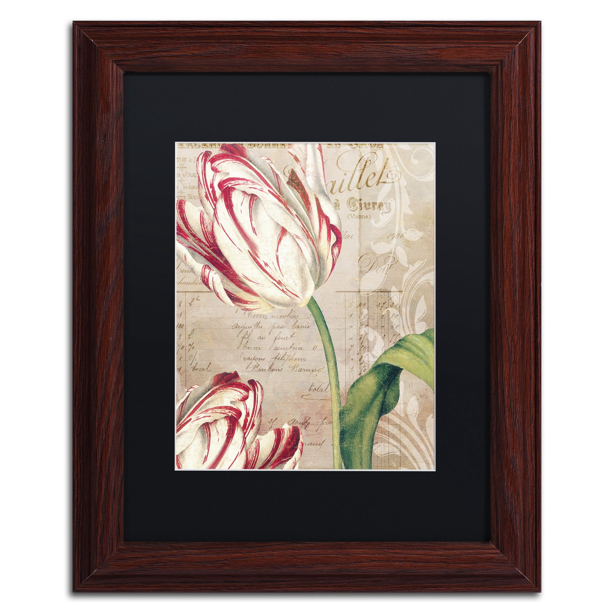 Trademark Fine Art "Tulips" Canvas Art by Color Bakery, Black Matte, Wood Frame