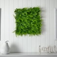 thumbnail image 6 of Nearly Natural 20" x 20" Artificial Fern Wall Panel (Indoor/Outdoor), 6 of 6