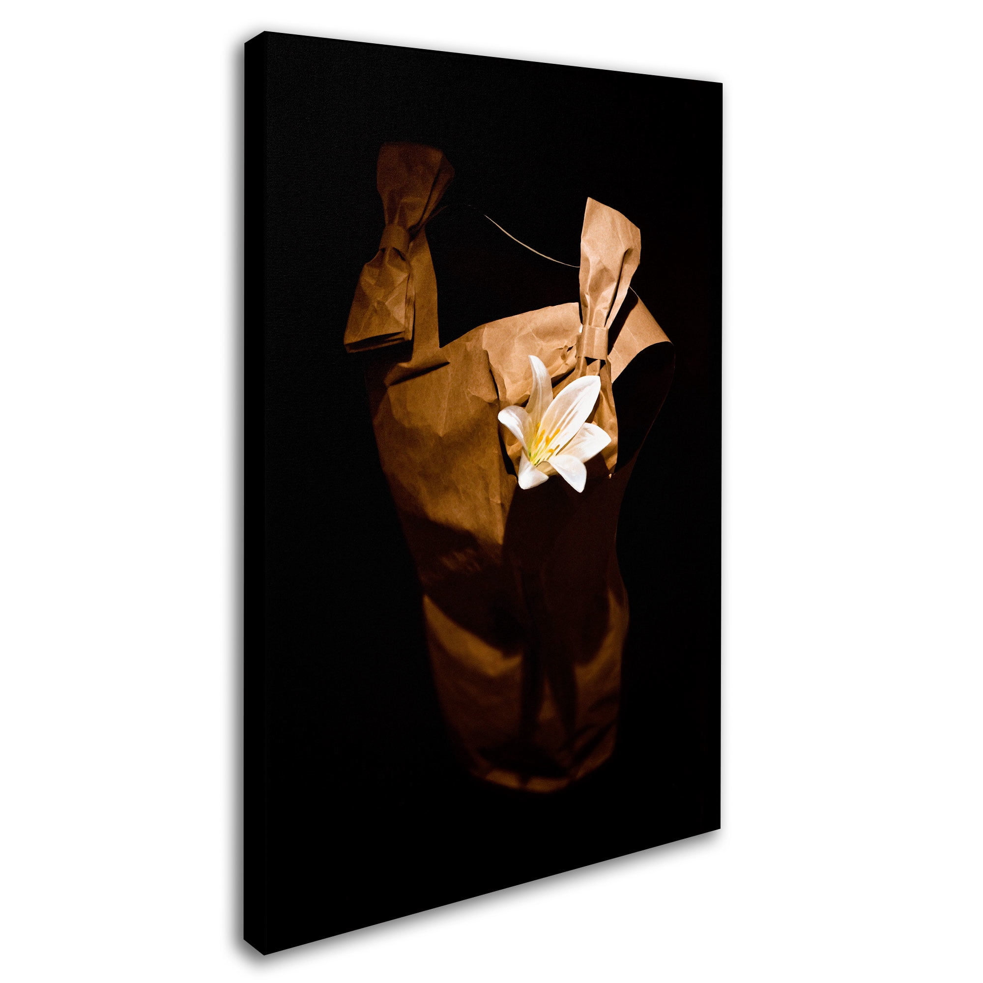 Trademark Fine Art "White Flower" Canvas Art by Roderick Stevens