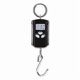thumbnail image 1 of Portable 200kg Hanging Scale Digital Scale Electronic Ing Ws Pocket Scale Lugga Scales Hook Scale, 1 of 5