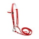 thumbnail image 5 of Brida para caballo con cabezada de rienda, cómoda brida de acero inoxidable para montar M rojo, 5 of 8