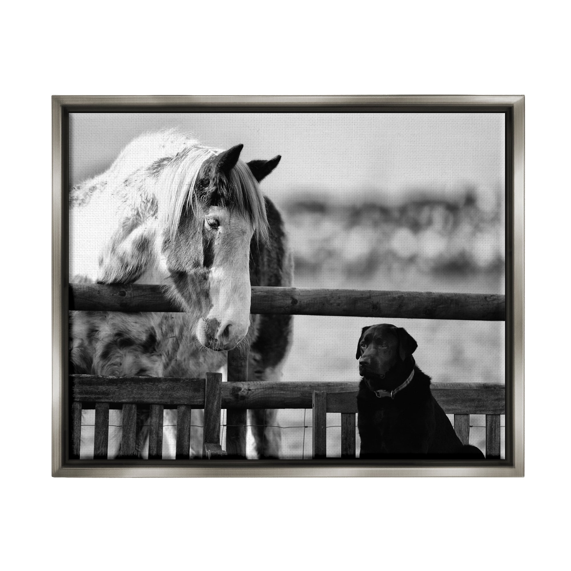 Stupell Industries Dog & Horse Farm Animal Friends Monochrome Photography Photograph Luster Gray Floating Framed Canvas Print Wall Art, Design by James Dobson
