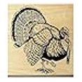 thumbnail image 3 of Tampon en Caoutchouc pour Dinde WM P20, 3 of 3