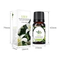 thumbnail image 4 of perfumes para caballero Oil Aromatherapy Therapeutic Grade Water Soluble Aroma 10ML, 4 of 6