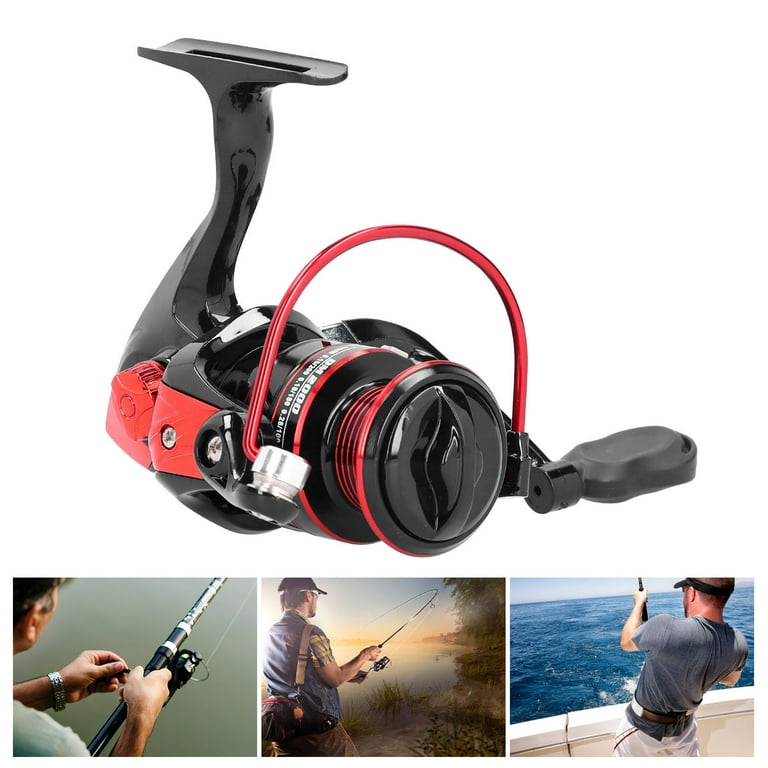Spinning Reel, Sturdy Long Shot Reel, Fishing Accessory, Professional for  Fishermen Durable Fishing Waterproof(DM2000)