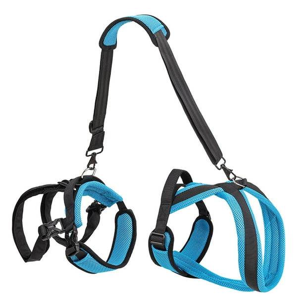 Dog shop climbing harness