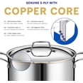 thumbnail image 2 of Legend Cookware Stainless Steel Stock Pot With Lid, 2 of 6