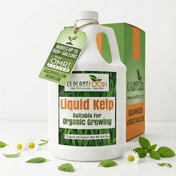 GS Plant Foods Organic Kelp Fertilizer - Concentrated Liquid for Gardens, Lawns, and Soil Yields 800 gallons, Organic, OMRI Kelp, Effective Fertilization, 1 Gallon Container