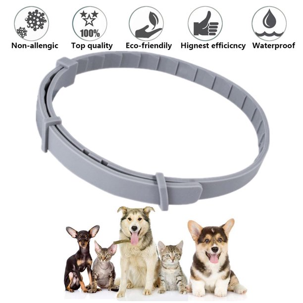 Adjustable Pet Anti Flea&Tick Neck Collar Strap for Dog Cat 8 Months