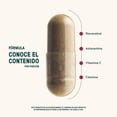 thumbnail image 3 of LIFE 360+ Resveratrol | 180 Cápsulas | Antioxidante de 1,024 mg por porción | Resveratrol, Astaxantina, Vitamina C y Celulosa, 3 of 7