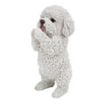 thumbnail image 2 of Playing Maltese Puppy, 2 of 2