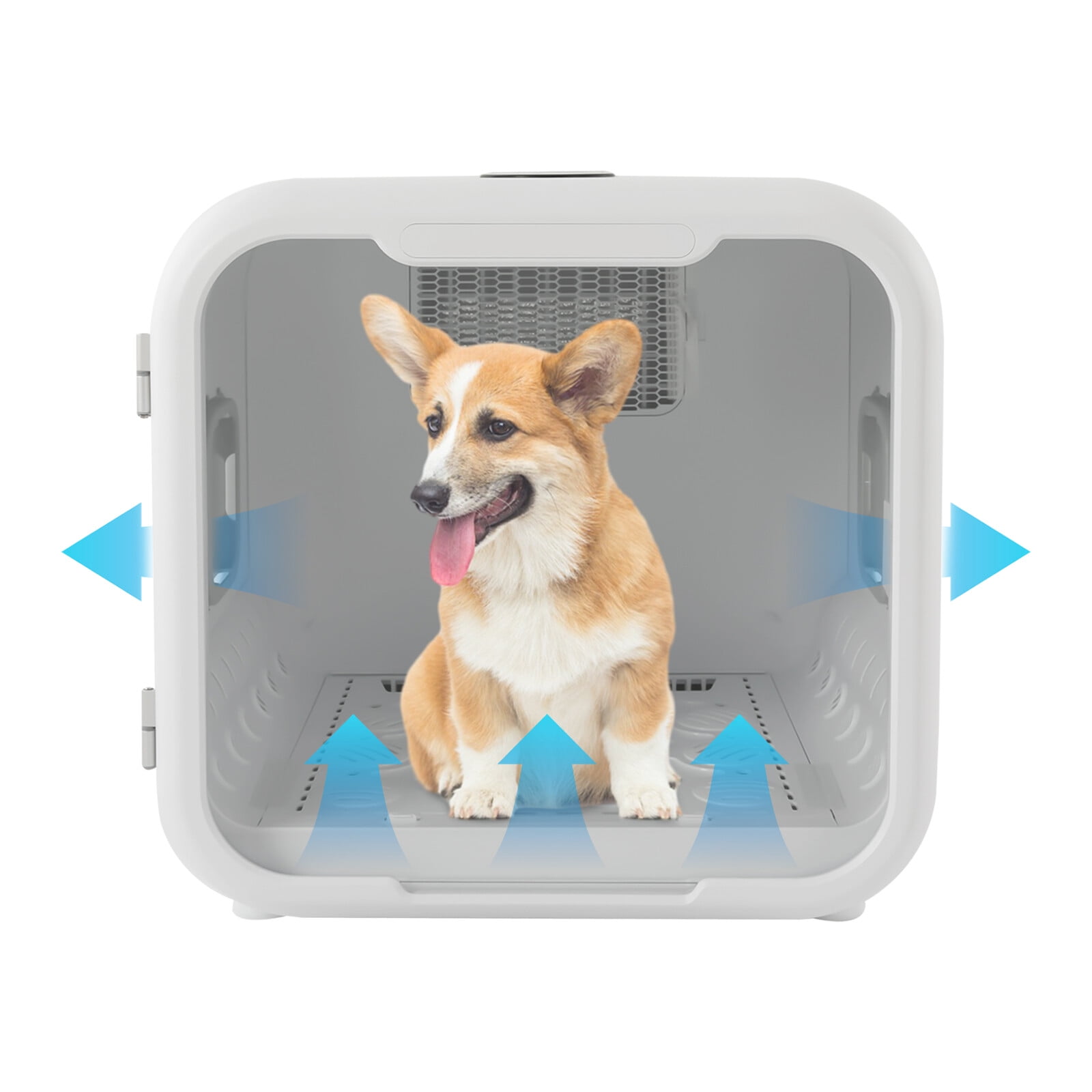 HomeRunPet Drybo Plus Automatic Pet Dryer for Cats and Small Dogs