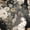 animals002, variant on Japanese Art Cat Wallpaper Peel and Stick,Ukiyo-e Floral & Feline Pattern, Removable Mural for Zen Bedroom & Living Room, 17.7x118 Inch