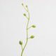 thumbnail image 5 of 50 Piezas 16 Cm Bayas Artificiales Estambre de Flores DIY Ramo Diadema Nupcial Adorno Decoración Navideña Fruta Macarena Adornos de ramo, 5 of 7