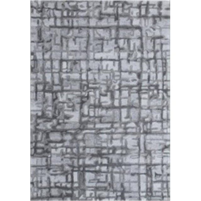 Dynamic Rugs Tapis Chics PO247813900&44; Gris - 2 x 4 Po.