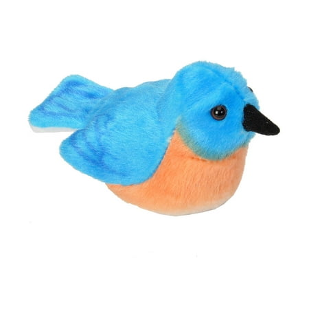 Audubon Eastern Bluebird