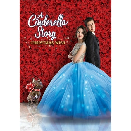Cinderella Story, A: Christmas Wish [DVD]
