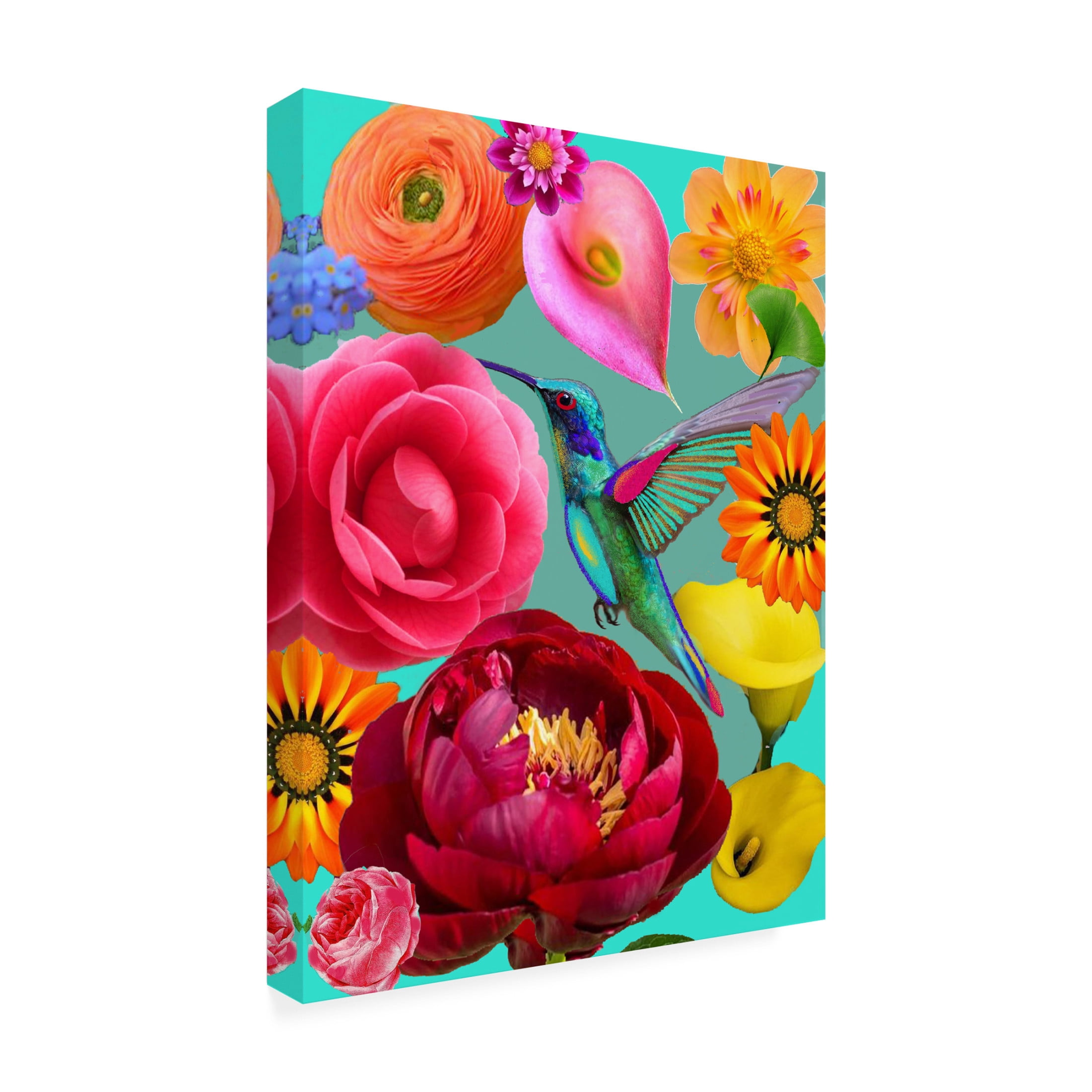Trademark Fine Art giovanna nicolo  Nuclear Nature Canvas Wall Art