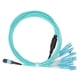 thumbnail image 3 of Cable de Conexión de Fibra Óptica ANGGREK Puente de 12 Fibras, 3 of 8