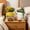 2PCS A+B, variant on 1PCS Cute Smiling Rocking Chair Resin Planter, Smiley Face Rocking Chair Planter, Desktop Succulent Pot with Drainage Hole, Unique Flower Pot for Home Balcony Decor(A) 