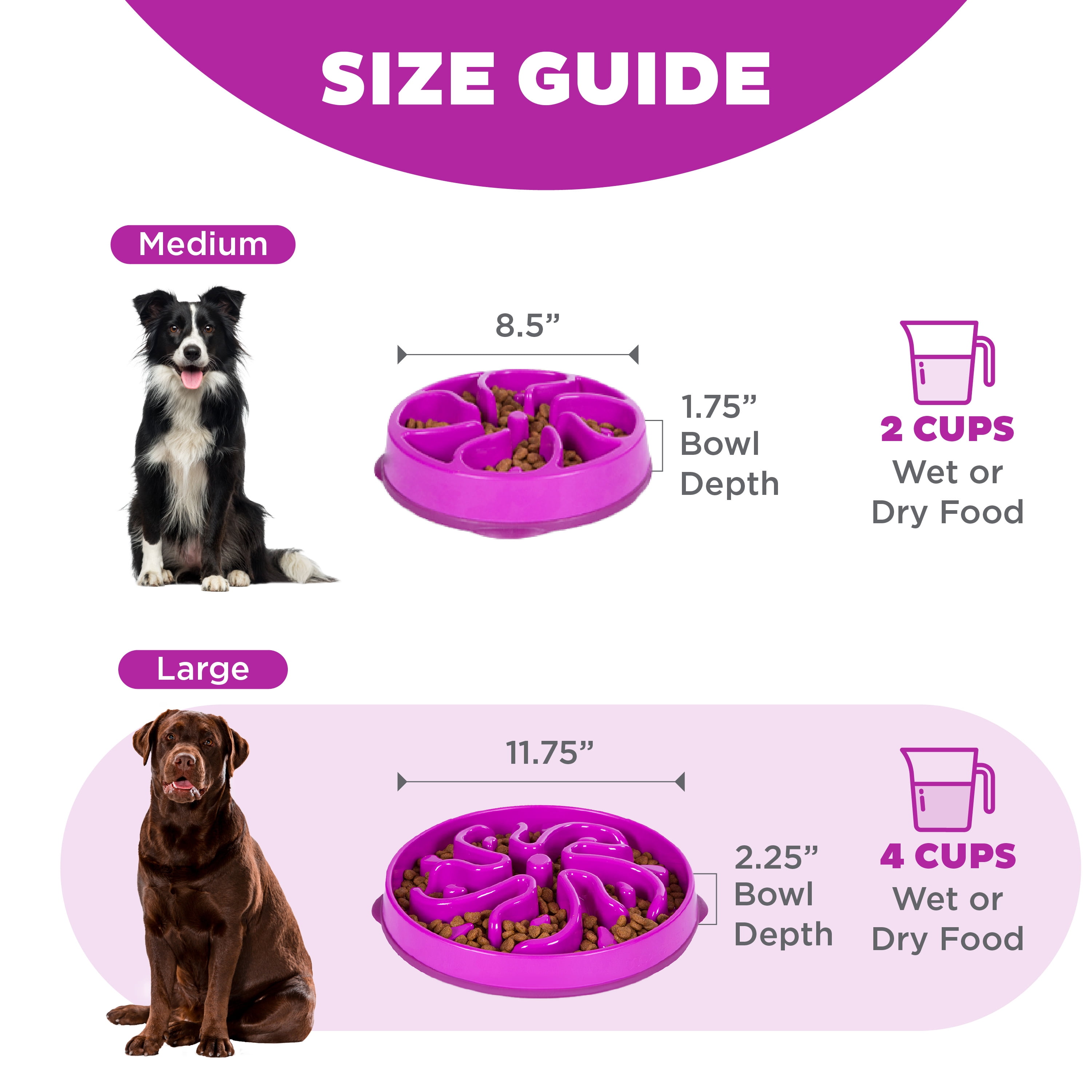 (4 pack) Outward Hound Fun Feeder Slo Bowl – Large 4‑Cup Capacity, Slow Feeding, Medium to Large Dogs, Non‑Slip, Purple, Flower Pattern