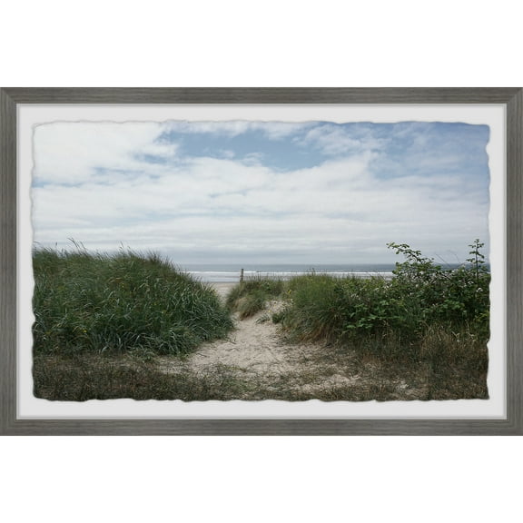 Marmont Hill Coastal Vegetation Framed Painting Print