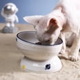 thumbnail image 4 of El cuenco de alimentación de cerámica con cielo estrellado para mascotas protege las vértebras cervicales, evita el vuelco y los pies altos., 4 of 5