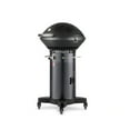 thumbnail image 6 of Fuego 2-Burner Black Propane Outdoor Gas Grill with Grilling Surface, 6 of 8