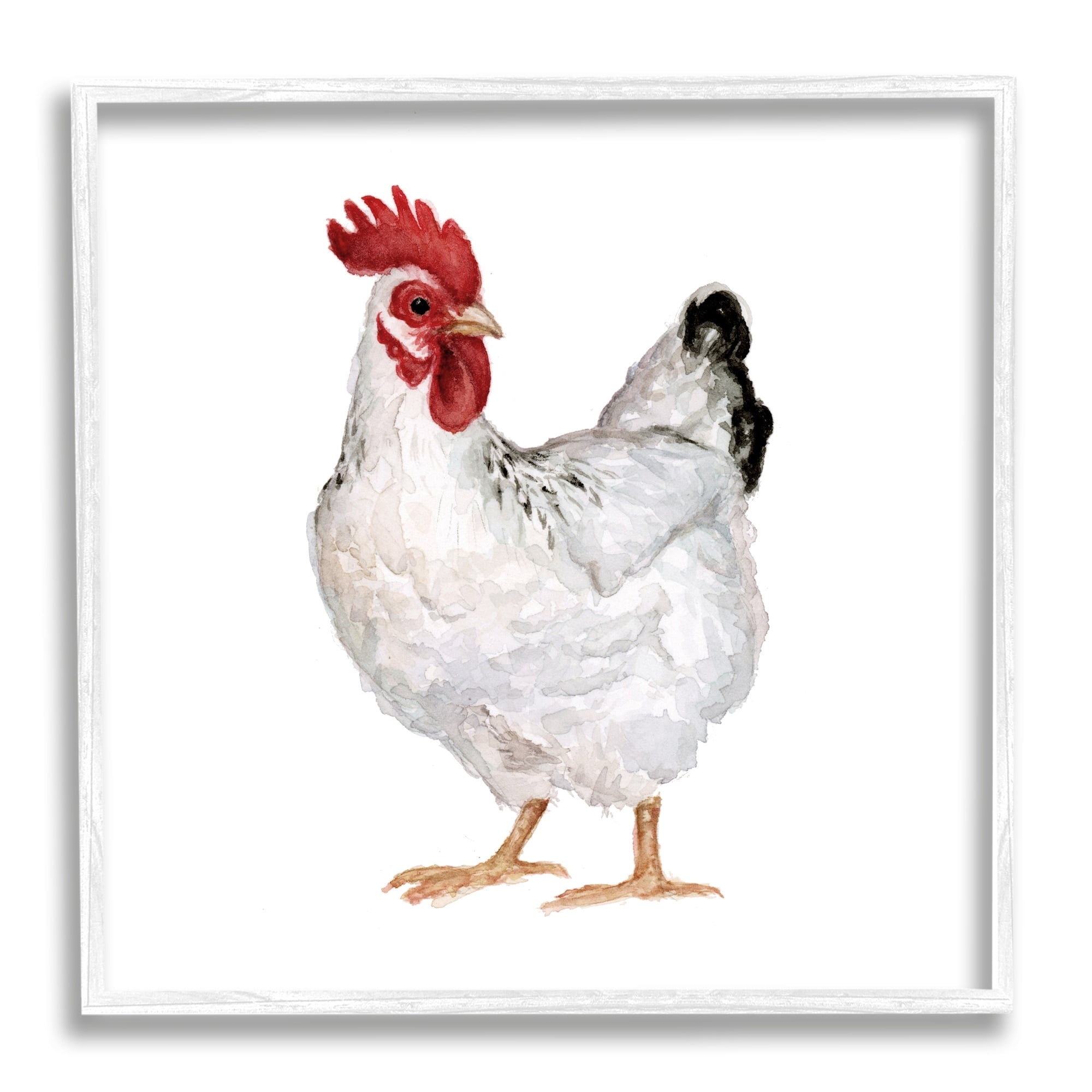 Stupell Industries Quaint Chicken Watercolor Painting Farm Hen Portrait, 24 x 24,Design by Fox Hollow Studios