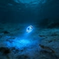 thumbnail image 4 of LED Underwater Ice With 600 Meter Depth Rating Attracting Light For Deep Drop And Ocean, 4 of 4