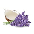 thumbnail image 2 of Dove Body Cream Lavender & Coconut Milk 10 oz, 2 of 4