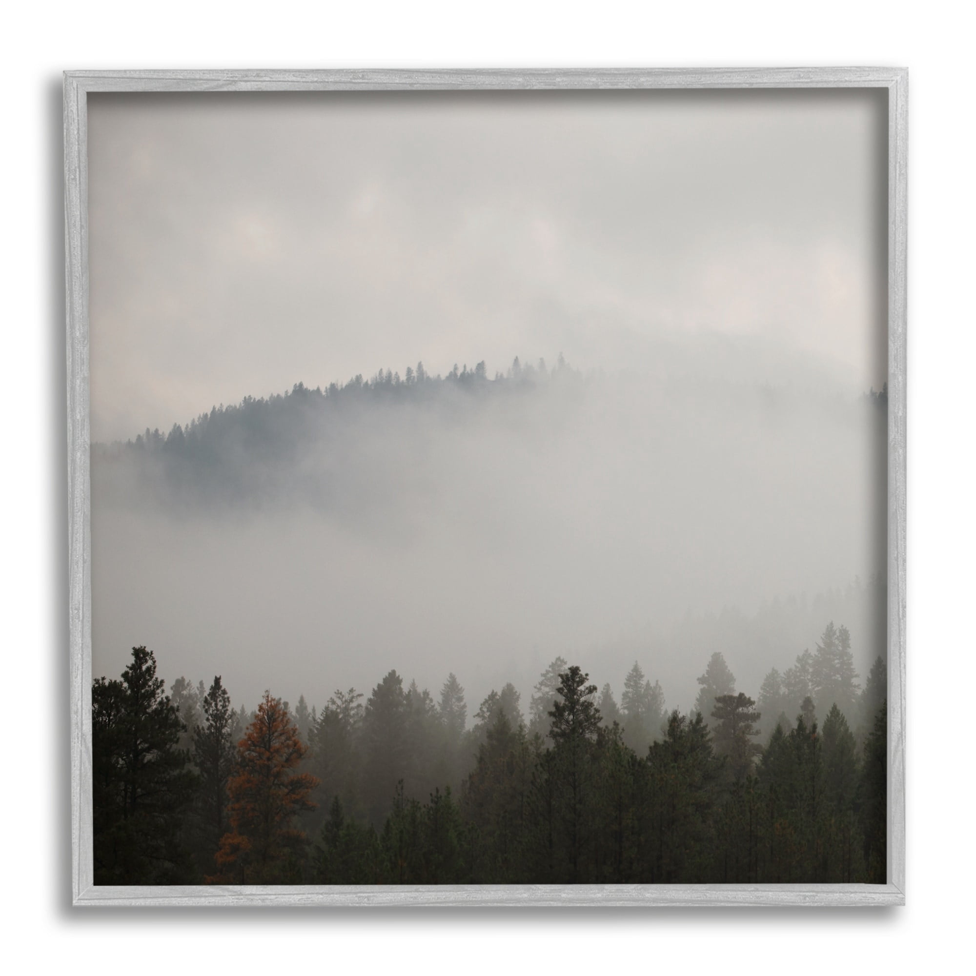 Stupell Industries Misty Mountain Weather Obscured Forest Tree Tops Photograph Gray Framed Art Print Wall Art, Design by Carol Robinson