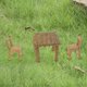 thumbnail image 4 of Macetas de resina para jardín en miniatura, micropaisaje, decoración para el hogar y el jardín 3pcs mesa de la silla, 4 of 8