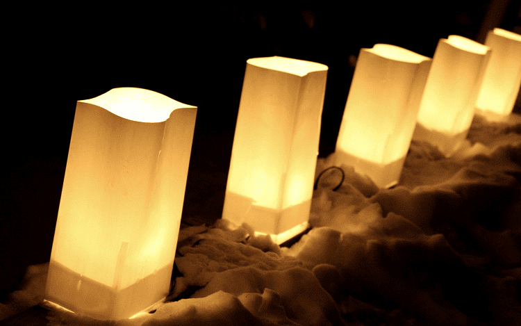 Candle Bags - Plain Candle Luminary Bags Pack of 50 