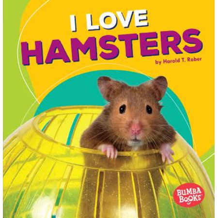 I Love Hamsters (Best Hamster For Child)