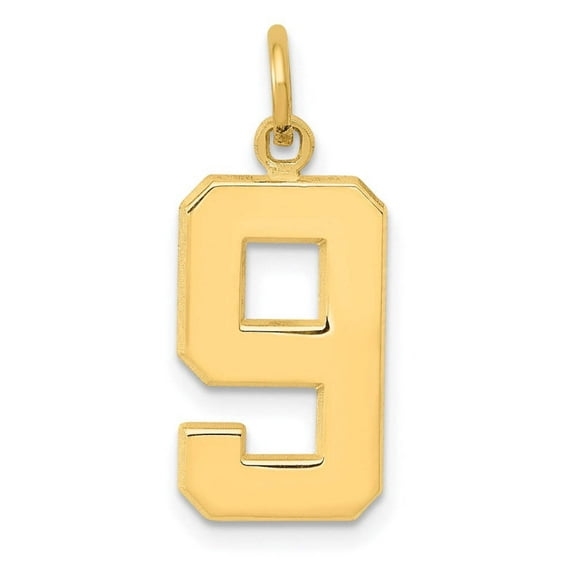 FJC Finejewelers 14k Yellow Gold Casted Medium Polished Number 9 Charm
