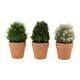 thumbnail image 1 of Juego de 3 plantas artificiales Nikou en macetas de plástico, 1 of 15