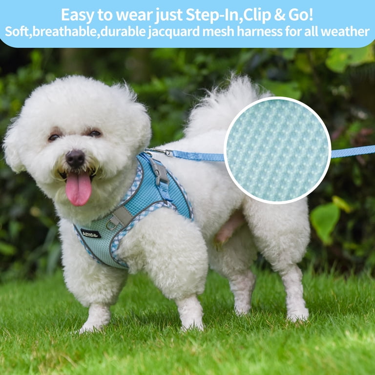 Reflective Step-In Harness and Leash Set, Extra Small photo 6